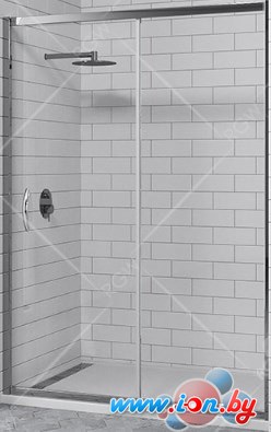 Душевая дверь RGW PA-016 160 (хром/матовое стекло) в Могилёве