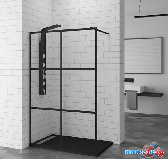 Душевая стенка RGW WA-11-B 100 см (прозрачное) в Могилёве