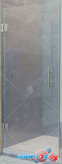 Душевая дверь RGW HO-011 80 (хром/прозрачное стекло) в Могилёве