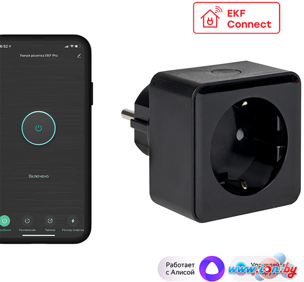 Умная розетка EKF Сonnect PRO Wi-Fi (черный) в Могилёве