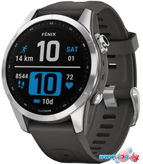 Умные часы Garmin Fenix 7S 42 мм (серебристый/графитовый) в Бресте