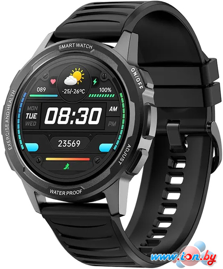 Умные часы BQ-Mobile Watch 1.3 (черный) в Могилёве