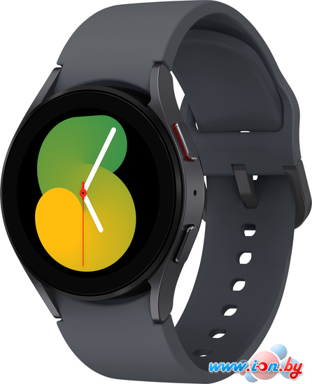 Умные часы Samsung Galaxy Watch 5 40 мм (графитовый) в Могилёве