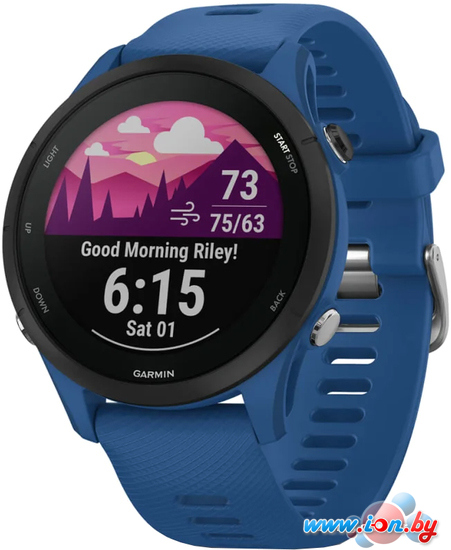 Умные часы Garmin Forerunner 255 46 мм (темно-синий/черный) в Могилёве