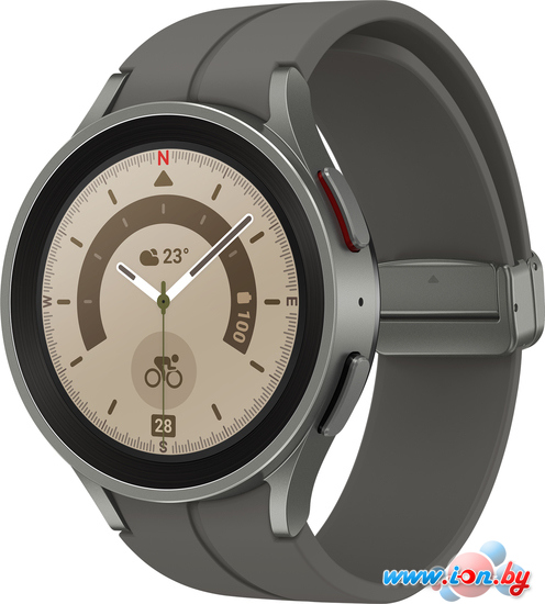 Умные часы Samsung Galaxy Watch 5 Pro 45 мм (серый титан) в Минске