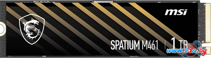 SSD MSI Spatium M461 1TB S78-440L1D0-P83 в Могилёве