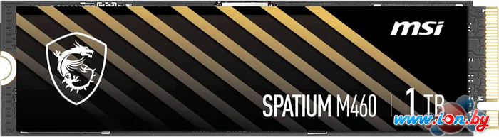 SSD MSI Spatium M460 1TB S78-440L930-P83 в Витебске