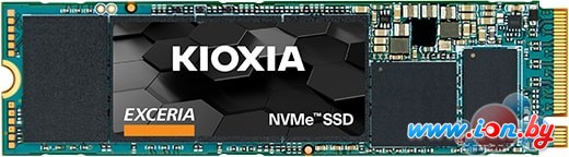 SSD Kioxia Exceria 250GB LRC10Z250GG8 в Витебске