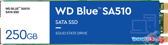 SSD WD Blue 250GB WDS250G3B0B в Гродно