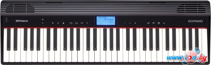 Цифровое пианино Roland Go:Piano GO-61P в Могилёве