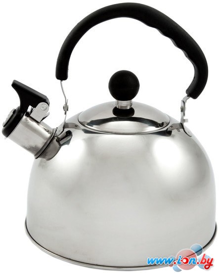 Чайник со свистком Добрыня DO-2907 в Могилёве