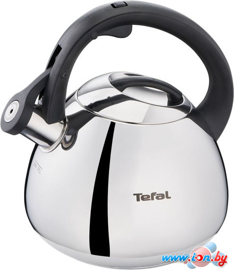 Чайник со свистком Tefal Duetto+ N4180110 в Гомеле