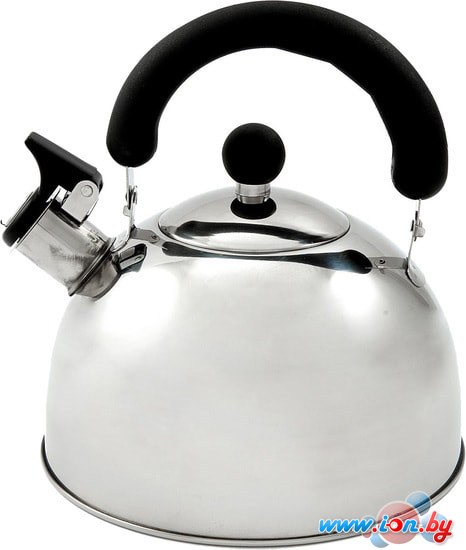 Чайник со свистком Добрыня DO-2902 в Могилёве