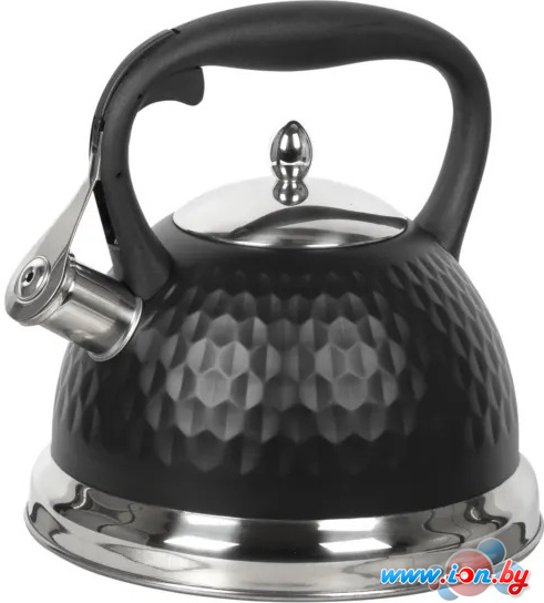 Чайник со свистком Coolinar 90650 в Могилёве