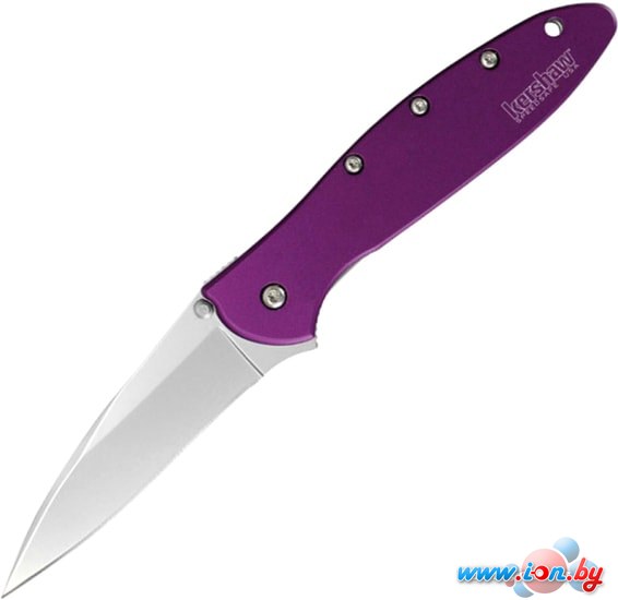 Складной нож Kershaw 1660PUR Leek в Могилёве