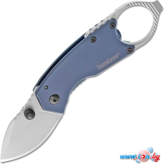 Складной нож Kershaw 8710 Antic в Могилёве