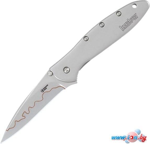 Складной нож Kershaw 1660CB Leek в Могилёве