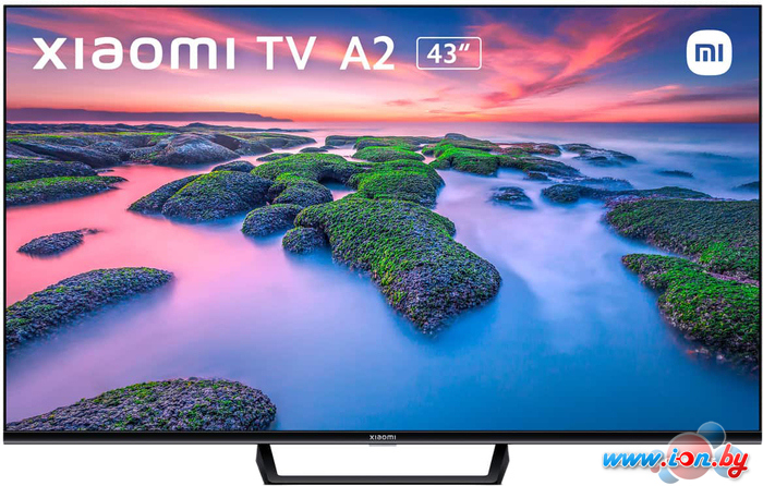 Телевизор Xiaomi Mi TV A2 43 (международная версия) в Могилёве