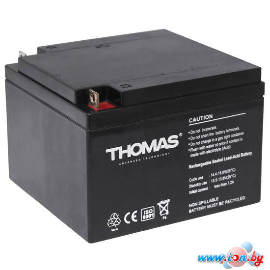 Аккумулятор для ИБП Thomas GB 12-65 Ah 12V65Ah в Бресте