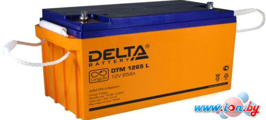 Аккумулятор для ИБП Delta DTM 1265 L (12В/65 А·ч) в Минске