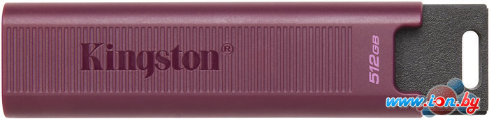 USB Flash Kingston DataTraveler Max Type-A 512GB в Могилёве