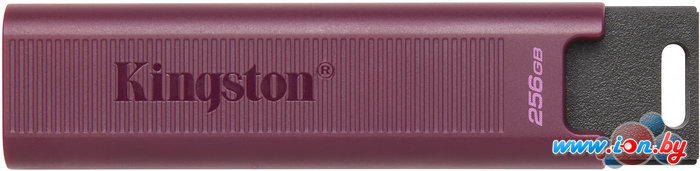 USB Flash Kingston DataTraveler Max Type-A 256GB в Гомеле