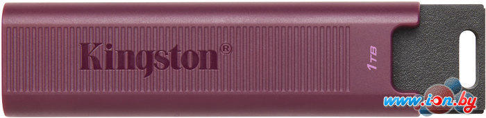 USB Flash Kingston DataTraveler Max Type-A 1TB в Гродно