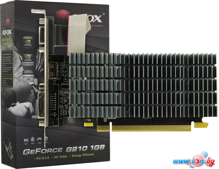 Видеокарта AFOX GeForce GT 210 1GB DDR2 AF210-1024D2LG2 в Витебске