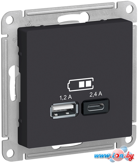 Розетка USB Schneider Electric Atlas Design ATN001039 в Могилёве