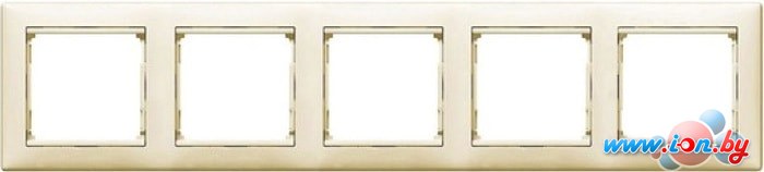 Рамка Legrand Valena 7 743 55 в Могилёве