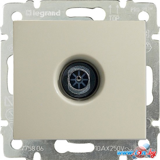Розетка телевизионная Legrand Valena 774331 в Могилёве