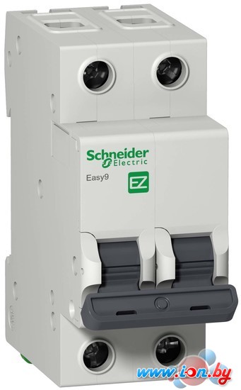 Выключатель Schneider Electric EASY 9 EZ9F34206 в Могилёве