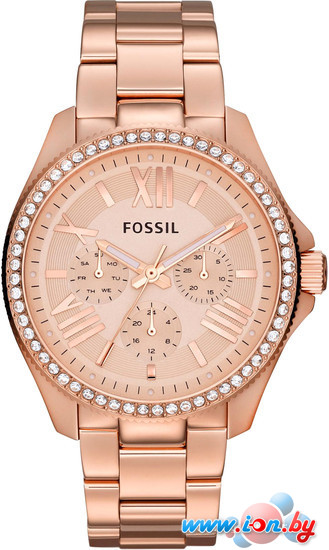 Наручные часы Fossil AM4483 в Гомеле