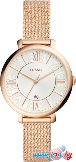 Наручные часы Fossil Jacqueline ES4352 в Бресте