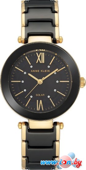 Наручные часы Anne Klein 3844BKGB в Бресте