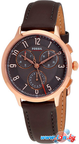 Наручные часы Fossil CH3099 в Могилёве