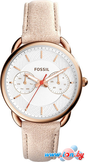 Наручные часы Fossil ES4007 в Гомеле