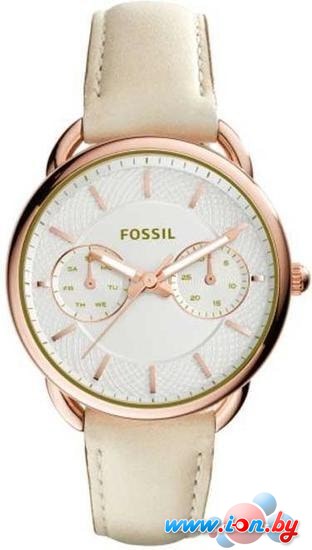 Наручные часы Fossil ES3954 в Бресте