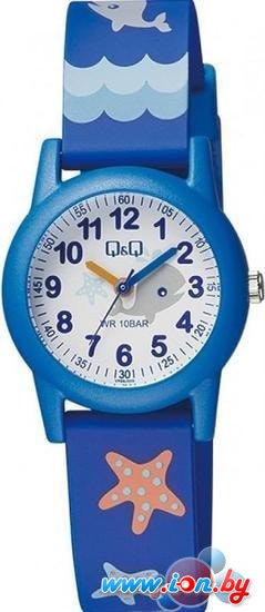 Наручные часы Q&Q VR99J009 в Могилёве