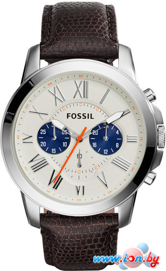 Наручные часы Fossil FS5021 в Гомеле