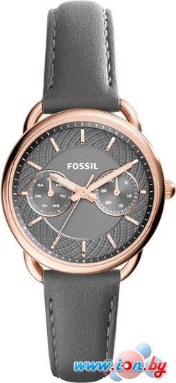 Наручные часы Fossil ES3913 в Бресте