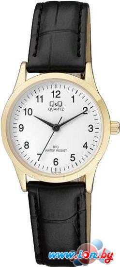 Наручные часы Q&Q C213J104 в Могилёве