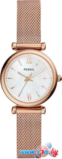 Наручные часы Fossil Carlie Mini ES4433 в Могилёве