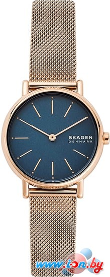 Наручные часы Skagen SKW2837 в Гомеле