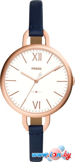 Наручные часы Fossil Annette ES4355 в Бресте