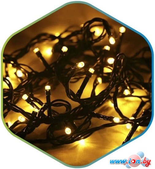 Гирлянда ETP LKS5009-WW 8 м (белый теплый) в Могилёве