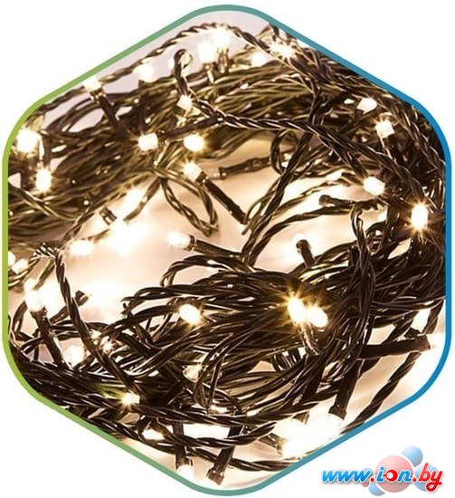 Гирлянда ETP LKS5009-W 8 м (белый) в Могилёве