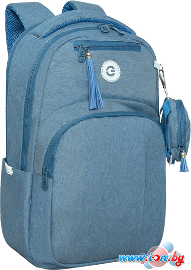 Городской рюкзак Grizzly RD-341-1 (голубой) в Могилёве Городской рюкзак Grizzly RD-341-1 (голубой) в Могилёве