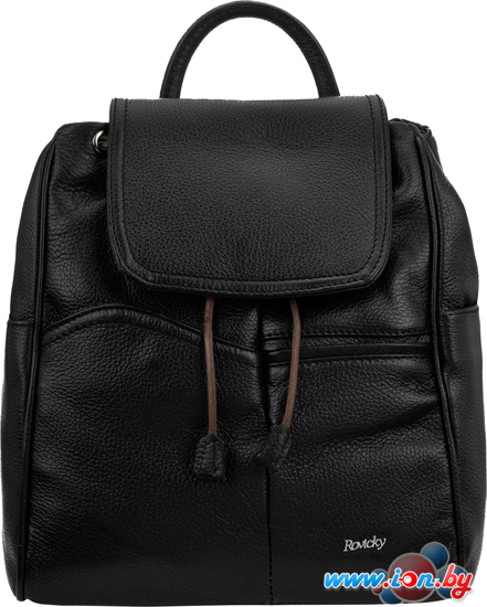 Городской рюкзак Cedar Rovicky TWR-148 (черный) в Могилёве