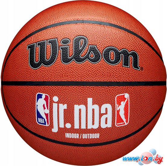 Баскетбольный мяч Wilson JR.NBA Fam Logo Indoor Outdoor WZ2009801XB7 (размер 7) в Бресте